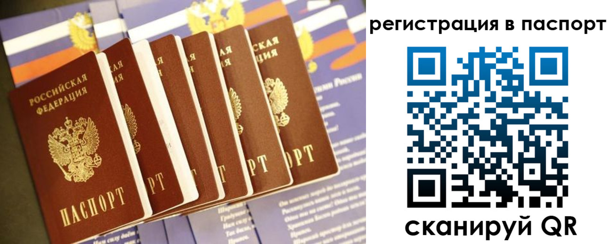 прописка ребенка в Пионерском